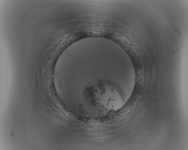 X0000111881009200908131629