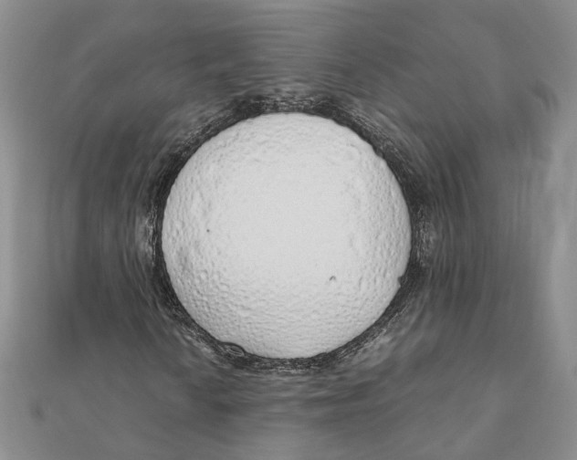 X0000111881010200908131629