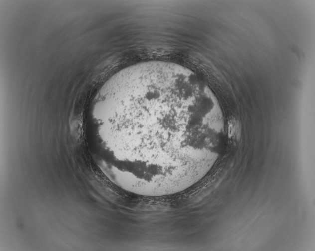 X0000111881011200908131629