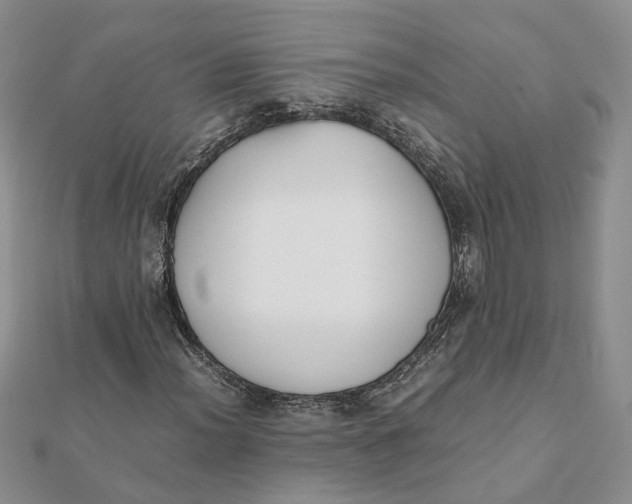 X0000111881012200908131629