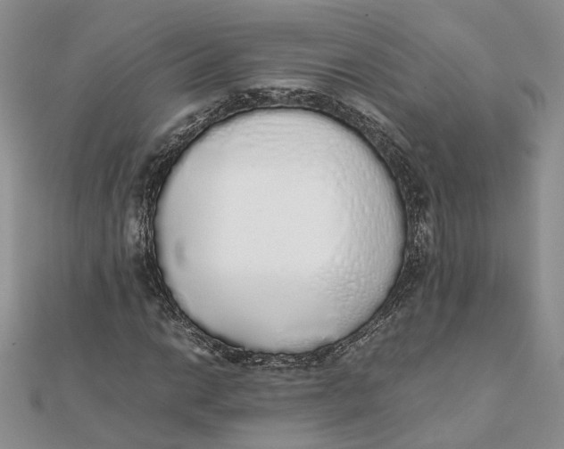 X0000111881014200908131629