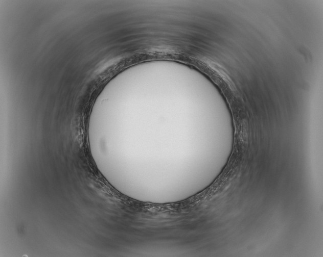 X0000111881015200908131629