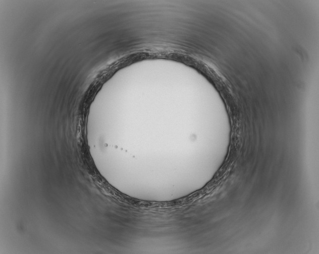 X0000111881016200908131629