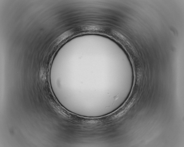 X0000111881017200908131629