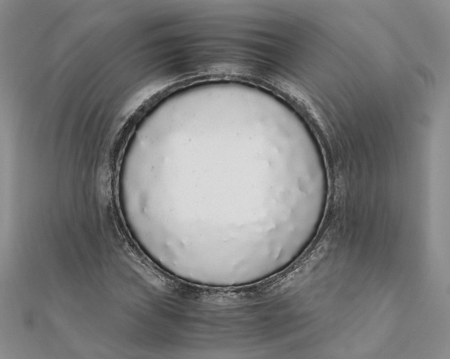 X0000111881019200908131629