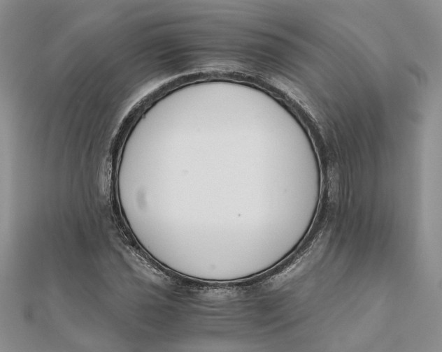 X0000111881021200908131629