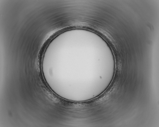 X0000111881022200908131629