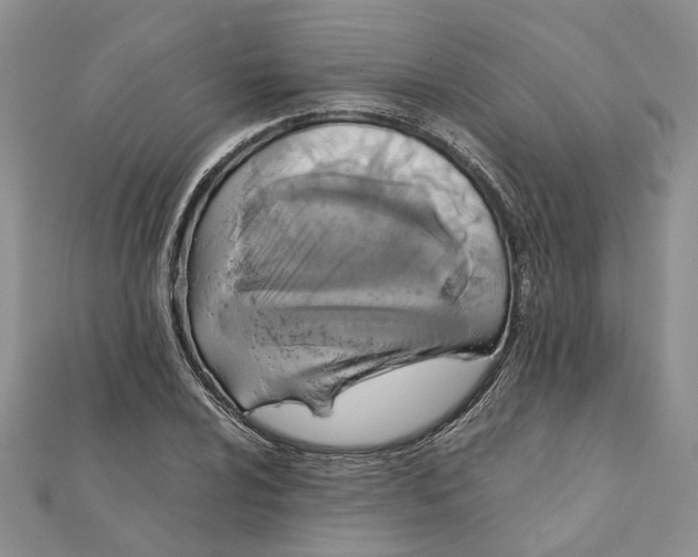 X0000111881024200908131629