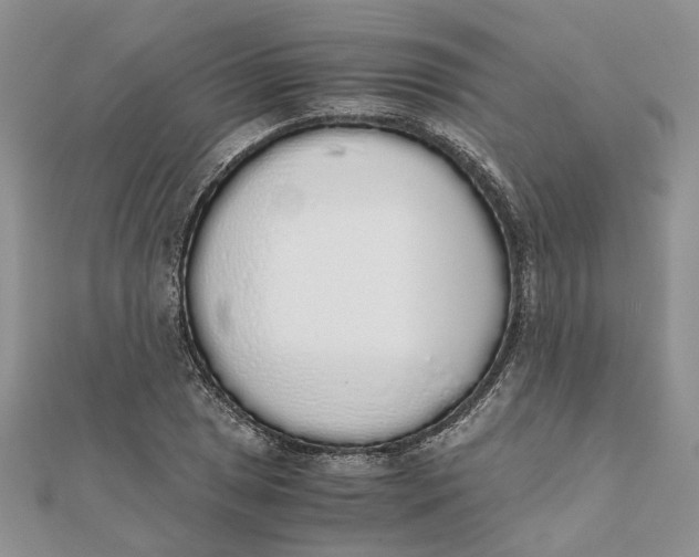 X0000111881025200908131629