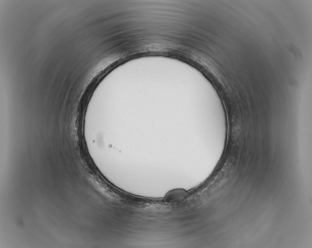 X0000111881026200908131629