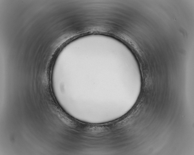 X0000111881027200908131629