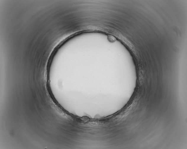 X0000111881028200908131629