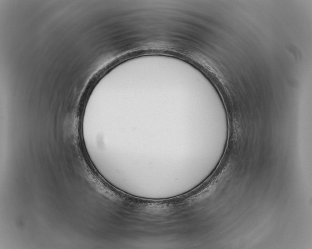 X0000111881029200908131629