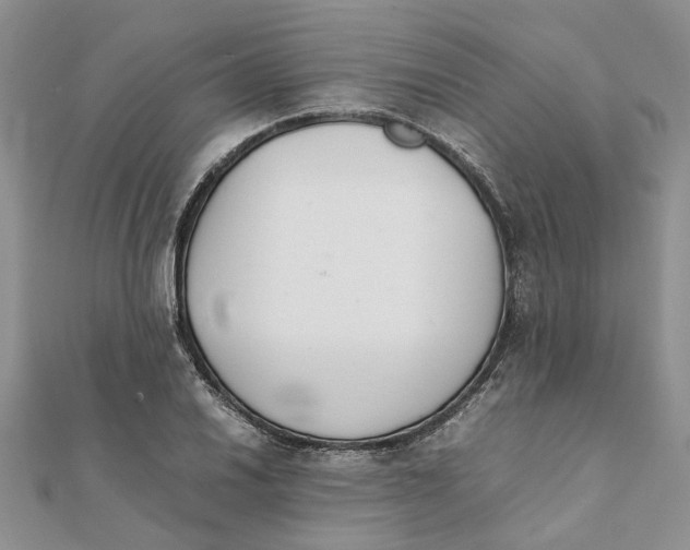 X0000111881030200908131629