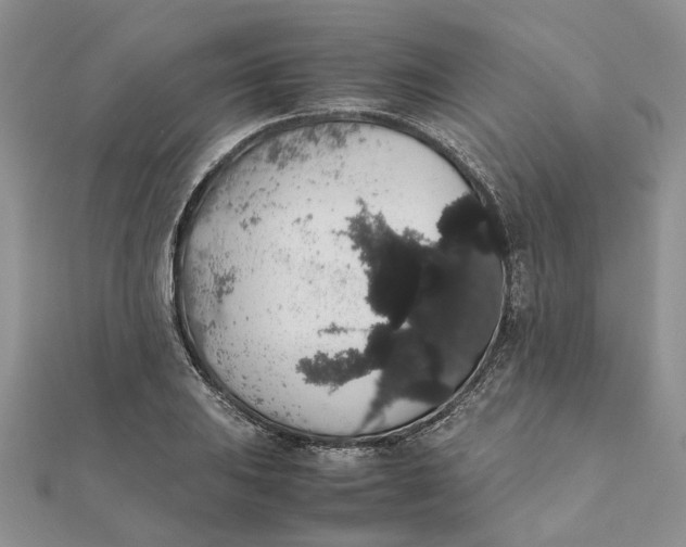 X0000111881031200908131629