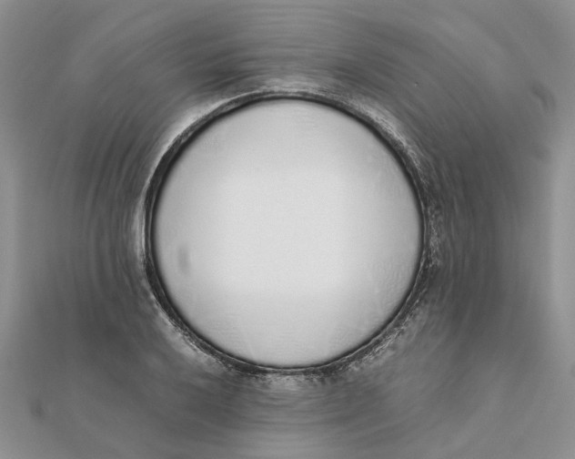 X0000111881032200908131629