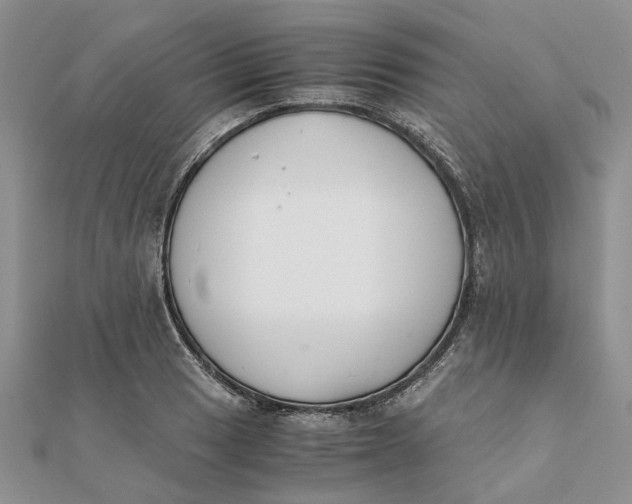 X0000111881033200908131629