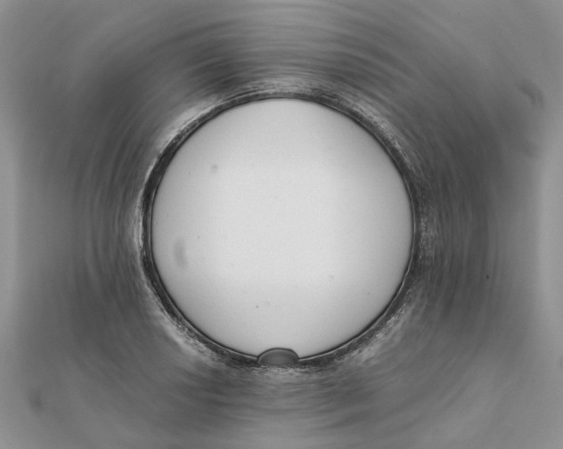 X0000111881034200908131629