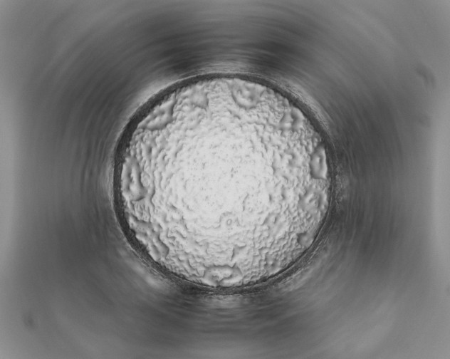 X0000111881035200908131629