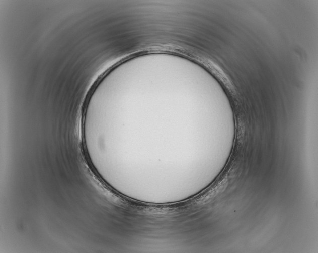 X0000111881036200908131629