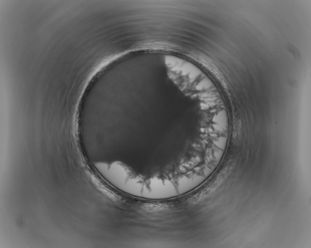 X0000111881037200908131629