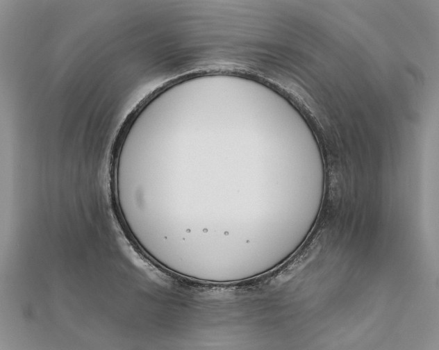 X0000111881038200908131629