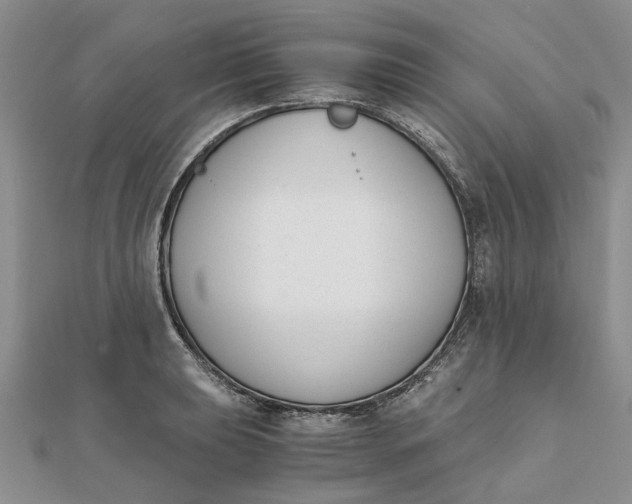 X0000111881039200908131629