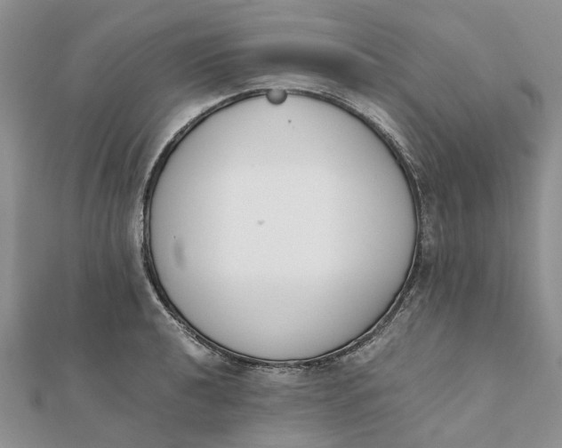 X0000111881040200908131629