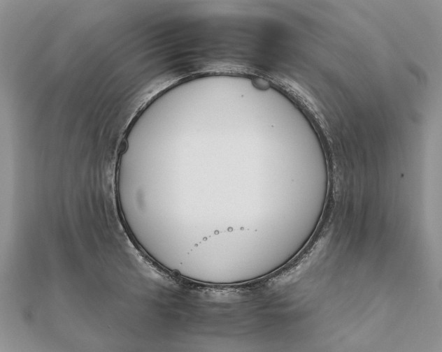 X0000111881041200908131629