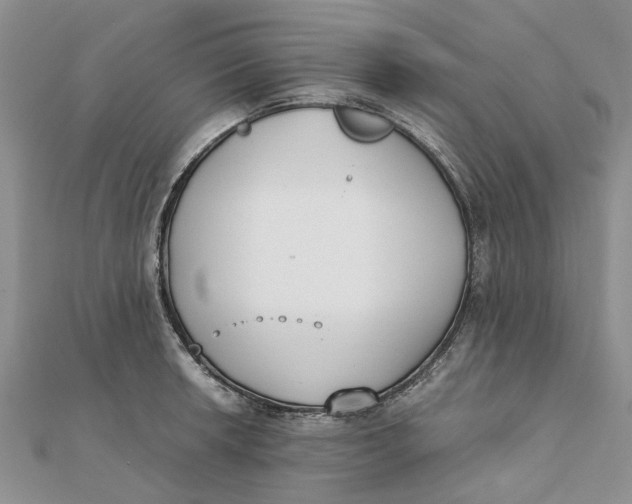 X0000111881042200908131629