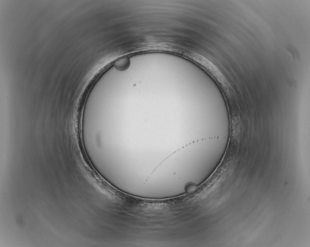 X0000111881043200908131629