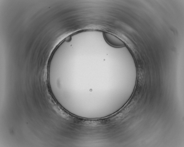 X0000111881044200908131629