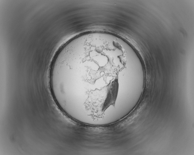 X0000111881045200908131629