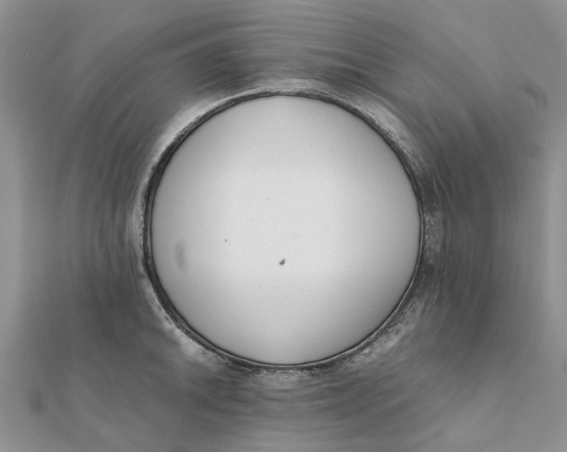 X0000111881046200908131629