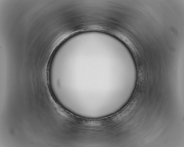 X0000111881047200908131629