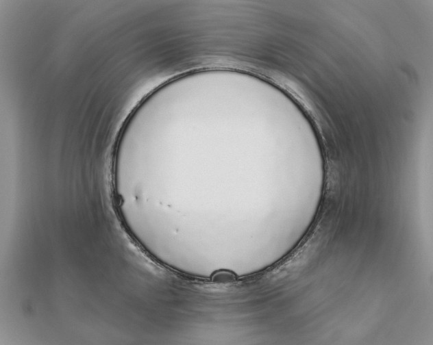 X0000111881048200908131629