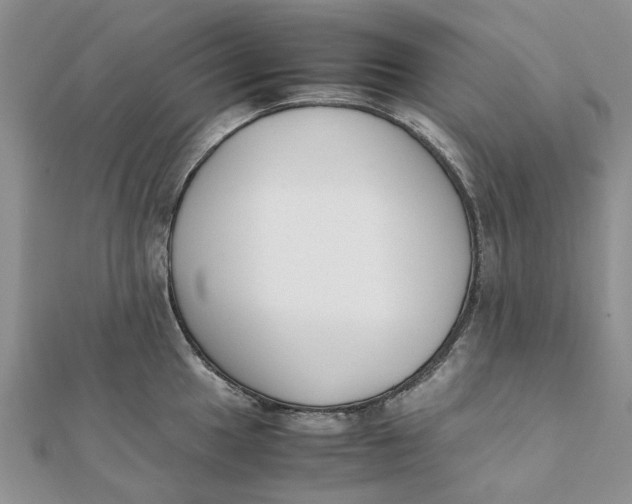 X0000111881049200908131629