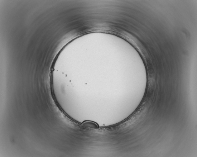 X0000111881050200908131629