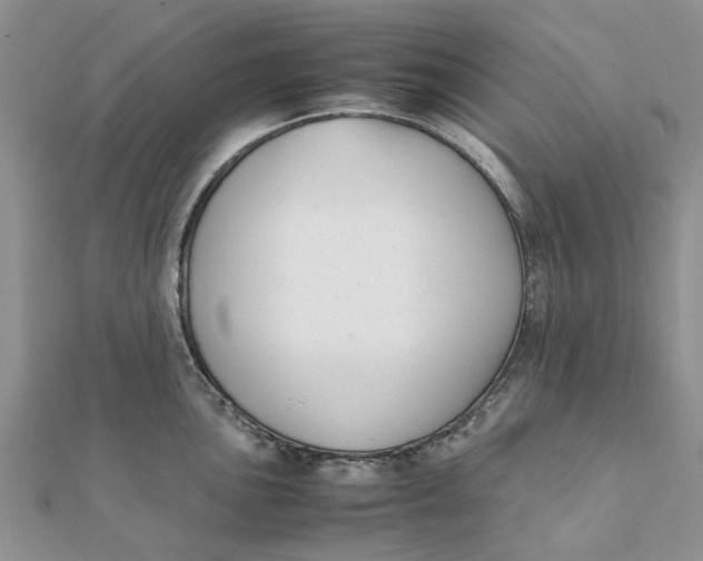 X0000111881051200908131629