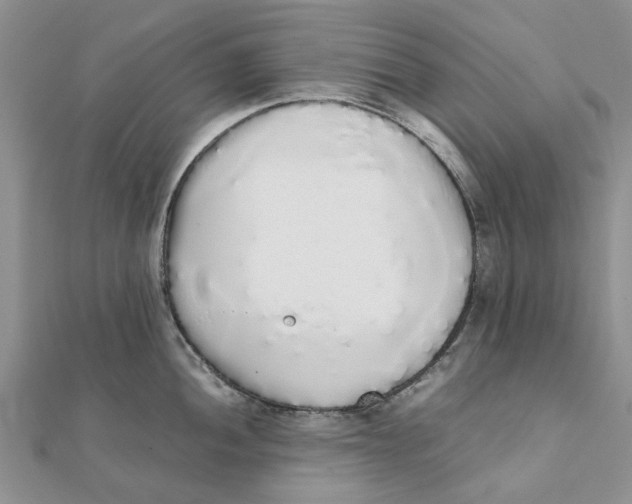 X0000111881052200908131629