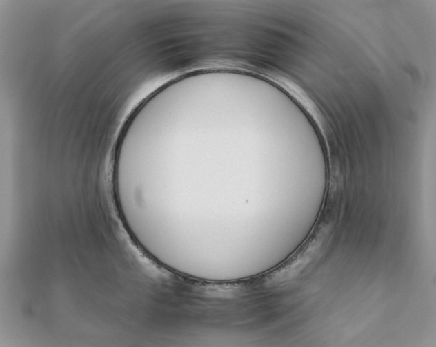 X0000111881053200908131629