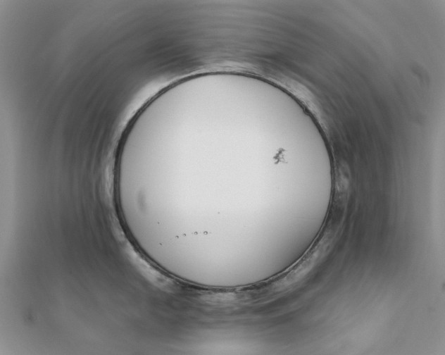 X0000111881054200908131629