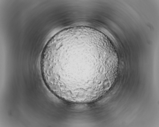 X0000111881055200908131630