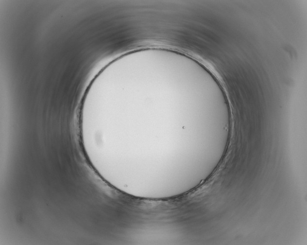 X0000111881056200908131630