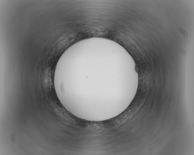 X0000111881058200908131629