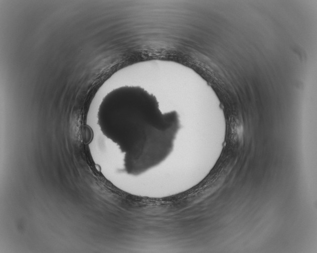 X0000111881060200908131629