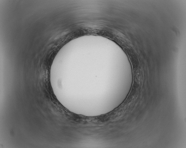 X0000111881061200908131629