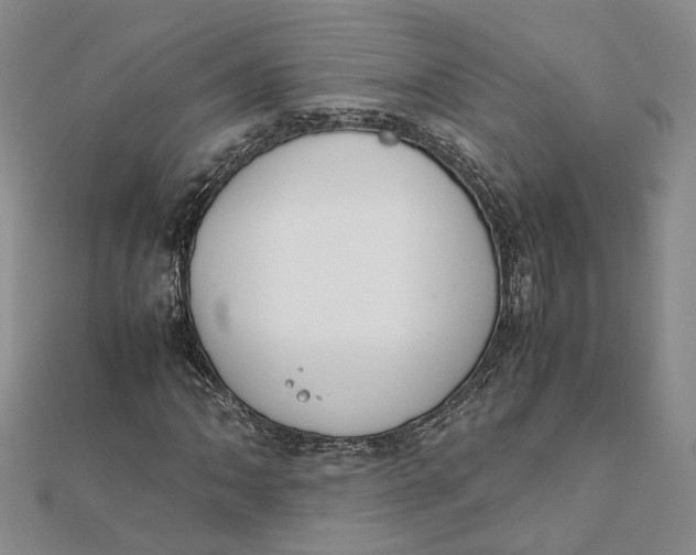 X0000111881062200908131629