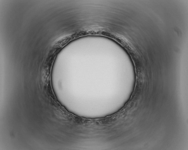 X0000111881063200908131629