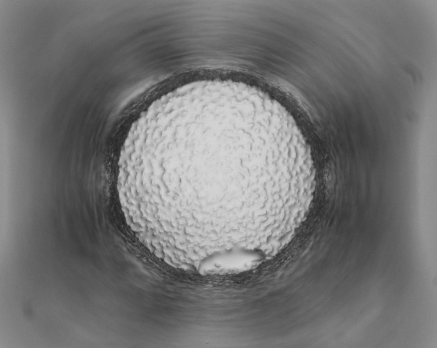 X0000111881064200908131629